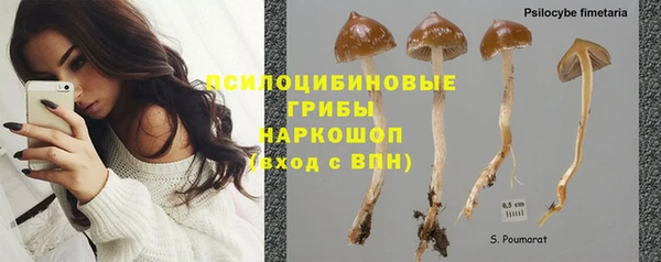 герыч Дмитровск